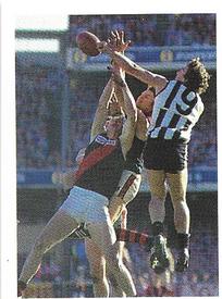 1991 Select AFL Stickers #257 Graeme Wright Front
